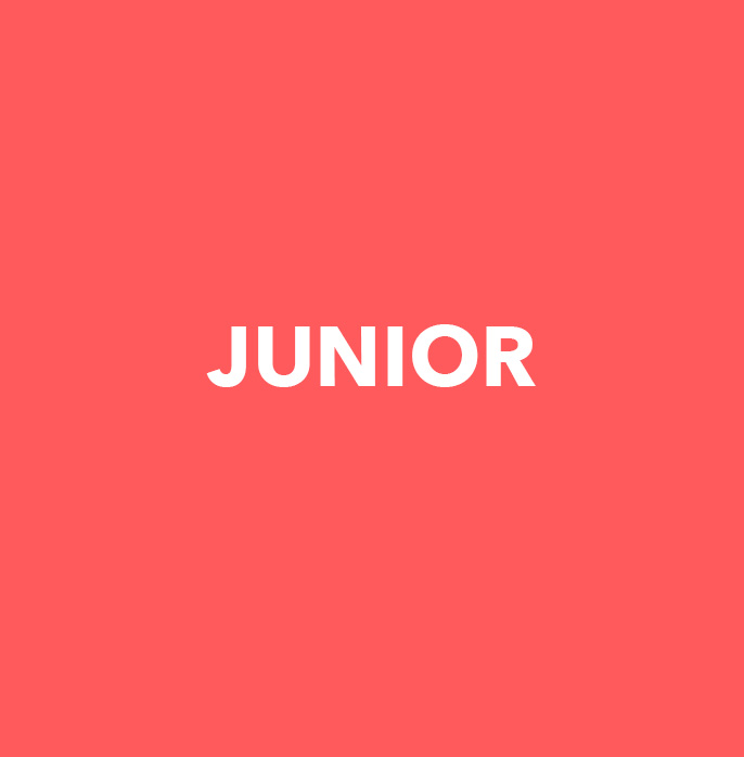 Junior Tools button